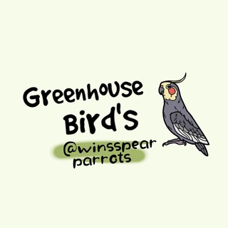 ⋆˚Greenhouse Bird's˚🪶⋆