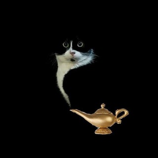 Азартный винстик