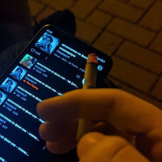 собачий вальс