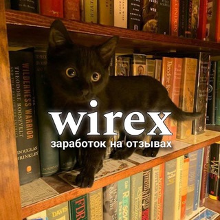 𝙬𝙞𝙧𝙚𝙭 🍂 || заработок на отзывах