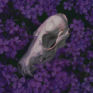 •|Wiritosik|TGK•(18+)