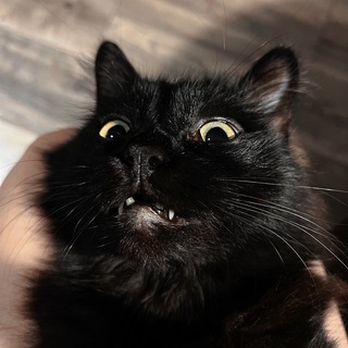 ведьмин дом