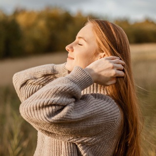 Рыжие будни