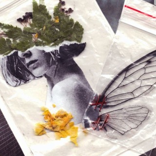 без единого гвоздя