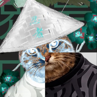 Магазин Визарда