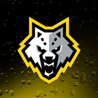 ФК «WOLF»