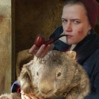 Посиделки с вомбатом и Алиной