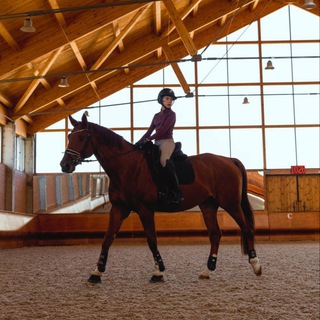 𝑤𝑜𝑚𝑒𝑛’𝑠 𝑑𝑟𝑒𝑠𝑠𝑎𝑔𝑒 𝑡𝑒𝑎𝑚 🧸