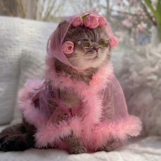 Бьюти Блажь