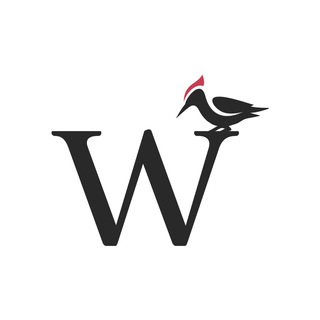 WoodWoodWood | парк-отель на Бердском заливе