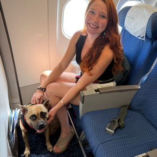 Вуф Вингс | как путешествовать с собакой