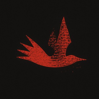 Слова, мысли и всякое разное