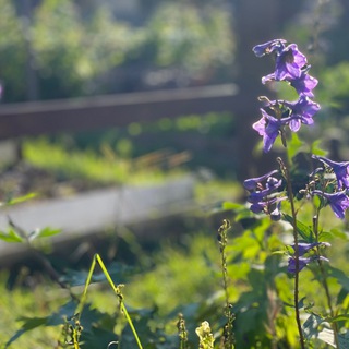 Работа света