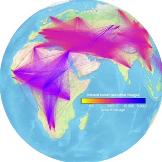 Мир генеалогии