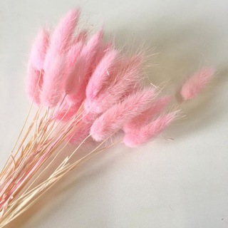 🌷Мир творчества🌷