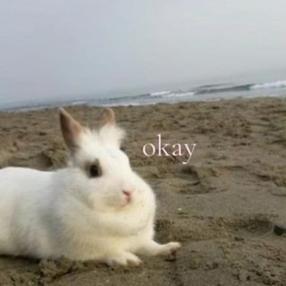 the noisy world of annushka