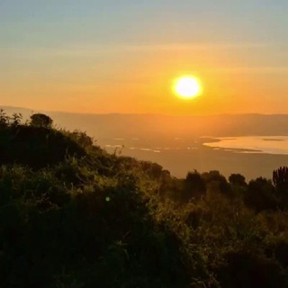 World with love, Russia 🌍❤️🦥🐘🦒🦍