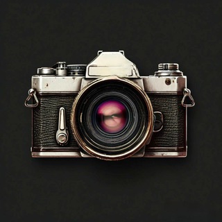 Мир в кадре