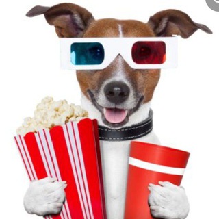 Фильмы на вечер😎