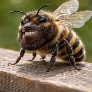 футажи для видео