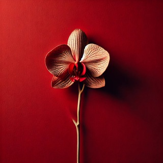 Женский почерк🫀