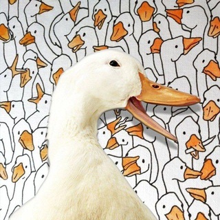 Запястье Пумы