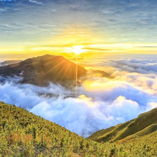 Путь в Свете ️️️🤍✨