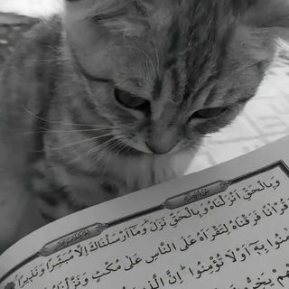 الزاوية الإسلامية