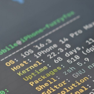 ios debug exploit gayra1n