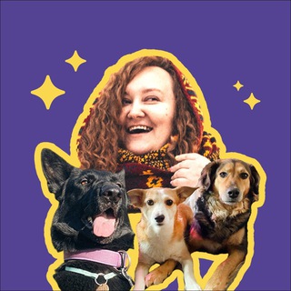 WuzzPup | Обучение и развитие собак