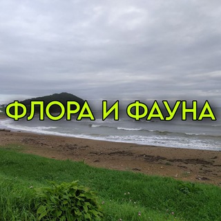 ФЛОРА И ФАУНА