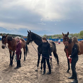 💗что-то на конном💗