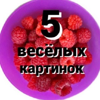5 ВЕСЁЛЫХ КАРТИНОК
