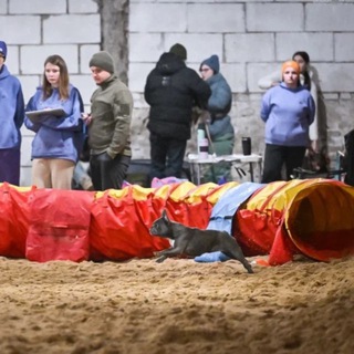 Фᴩᴀнцуɜᴄᴋий бᴩᴀхицᴇɸᴀᴧ