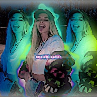 базы от олли