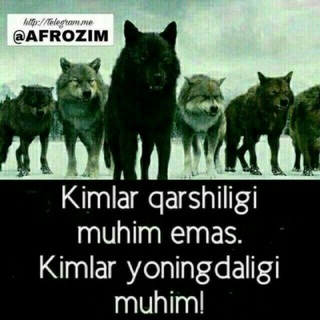 Xorazm shoxlari | official