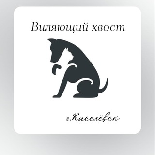 Виляющий хвост🐾