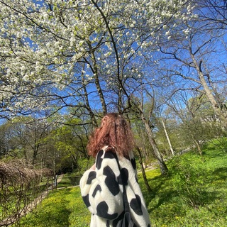 ️☀️ mint tea 🍵