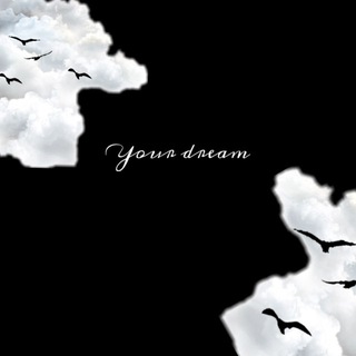 Your dream🐾