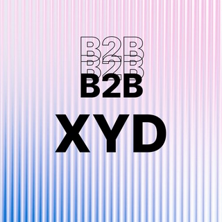 B2B XYDGITAL