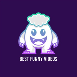 Funny Videos