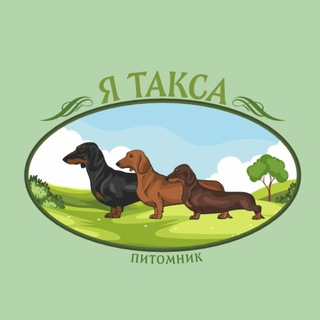Я Такса | Питомник собак