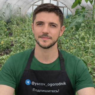 Яков Огородник