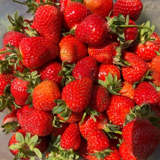 Ягода из Скородумовки🍓