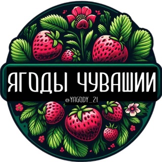 Ягоды Чувашии 🍓 | Клубника | Агроблог | Чебоксары | Рассада