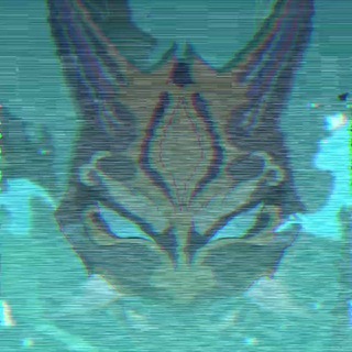 𝐘𝐀𝐊𝐒𝐇𝐀 𝐖𝐎𝐑𝐊𝐒𝐇𝐎𝐏