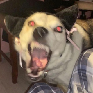 я резиновый кислота