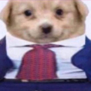 Находки Yandex | OZON | WB