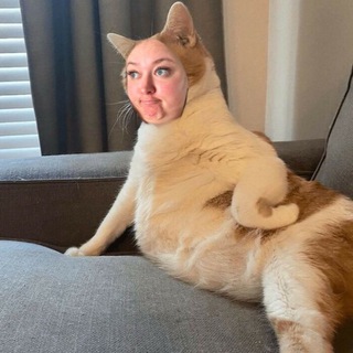 Янина Соционика