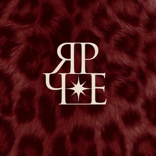 YARCHE AGENCY [digital company]